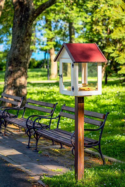 istock Wooden free mini library booth. Small free library with glass doors and books inside, placed next to benches in sunny park. Concept of sharing books, knowledge, public reading, urban community 2223893715