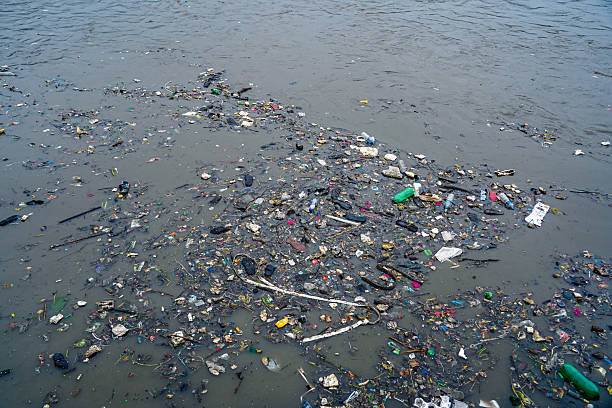istock pollution of the river in kathmandu, Nepal. 2223900563