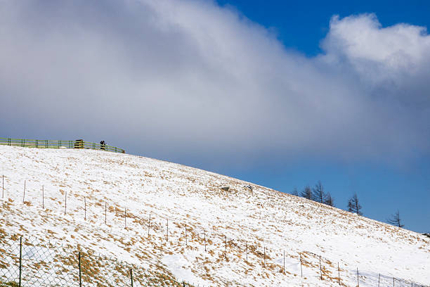 winter landscape
