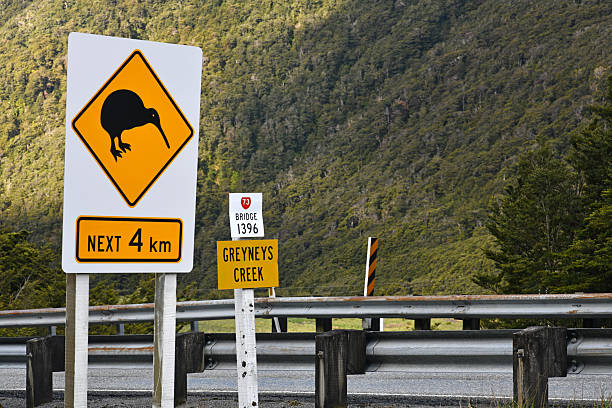 istock beware of kiwi 2223901181