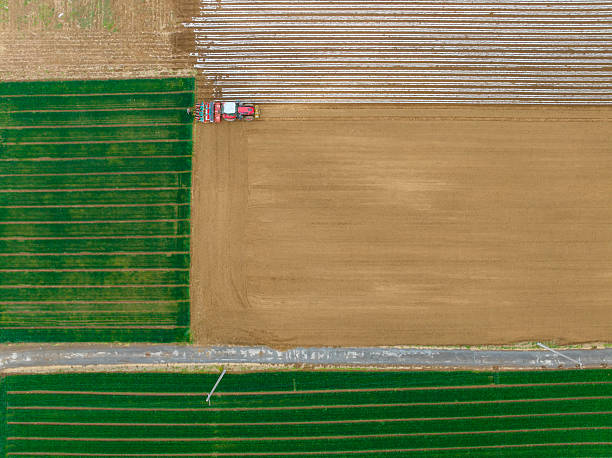 istock In spring, farmers use farm machinery to grow peanuts 2223902012