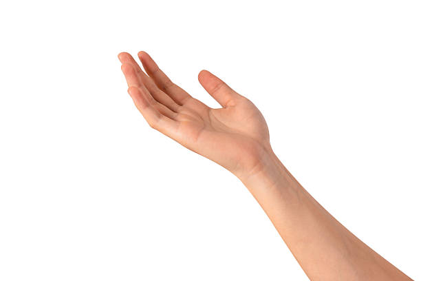 istock Beautiful hand gesture isolated on white background. High quality studio shot. Concept for health and beauty care, business technology, and advertising. 2223903781
