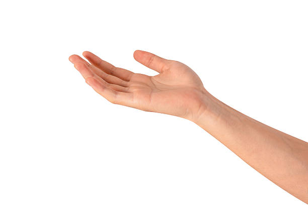 istock Beautiful hand gesture isolated on white background. High quality studio shot. Concept for health and beauty care, business technology, and advertising. 2223903784
