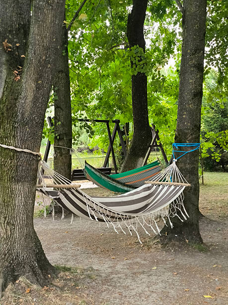 istock Colorful hammocks hanging between trees in a park 2223903998