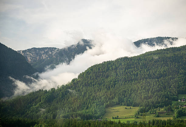 Misty clouds rolling over green forested mountain slopes in the Austrian Alps