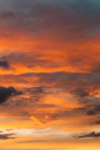 The sky is orange and the clouds are white. The sun is setting. Phone wallpaper. Vertical background.