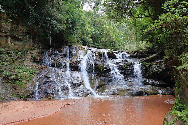 istock Waterfall in forest at Amboro national park, Bolivia 2223911025