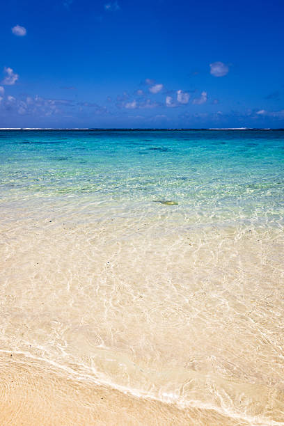 istock Idyllic crystal clear azure blue ocean water covering a shallow tropical reef under a deep blue sky. Captured from the idyllic sandy shoreline. 2223912763