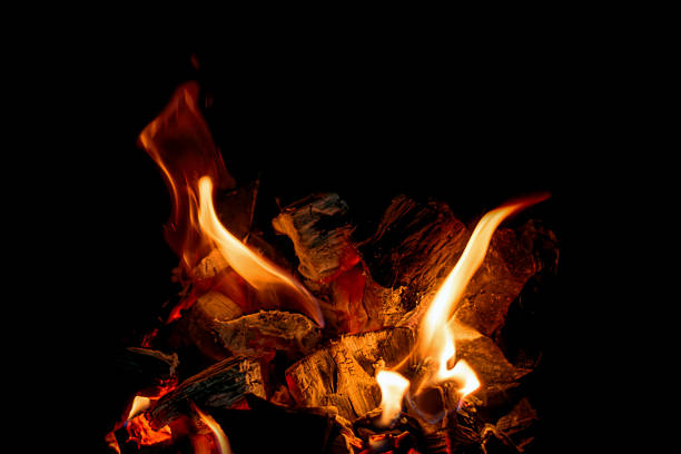 A fire burning in a wood burning stove.