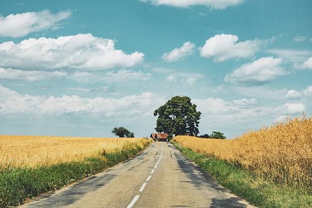 View of a road in a French landscape