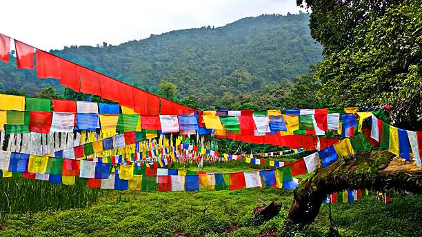 istock Prayer flags hanging in hills 2223922282