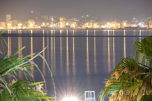 vibrant night cityscape of durrës, albania, with city lights brightly reflecting on the calm adriatic sea. palm fronds frame the foreground, adding a tropical touch to the luminous waterfront scene