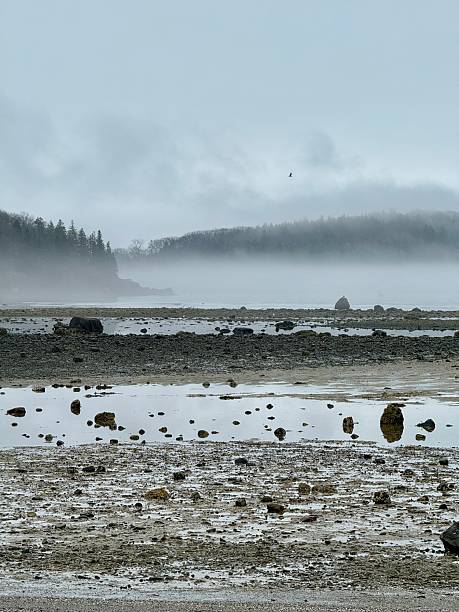 istock Acadia National Park, Maine 2223927427