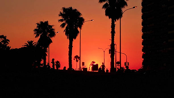 istock Silhouetted palm trees and people at sunset on the coast 2223928243