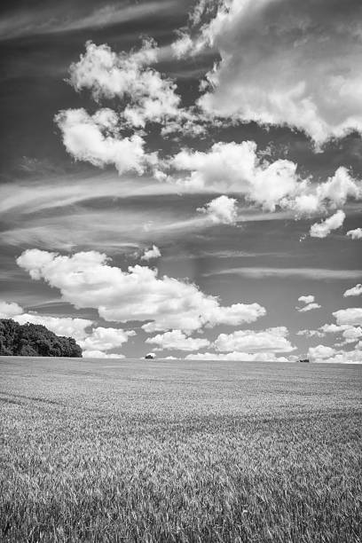 istock Buckinghamshire Farmland In Infrared 2223932540