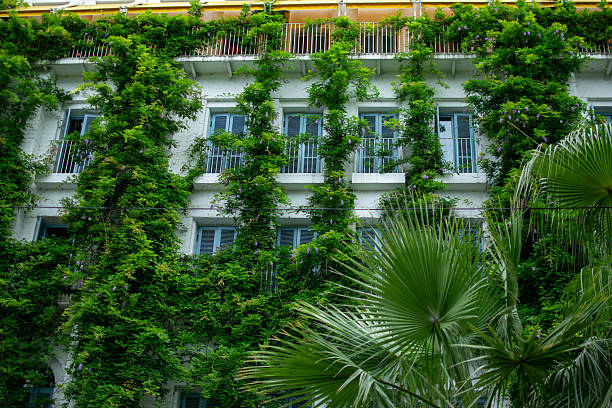 Green-Facade Building with Blue Shutters and Urban Utility Pole. High quality photo