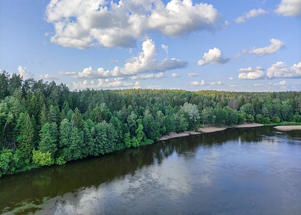 Lithuania city Druskininkai. River Neman and forest view from above.