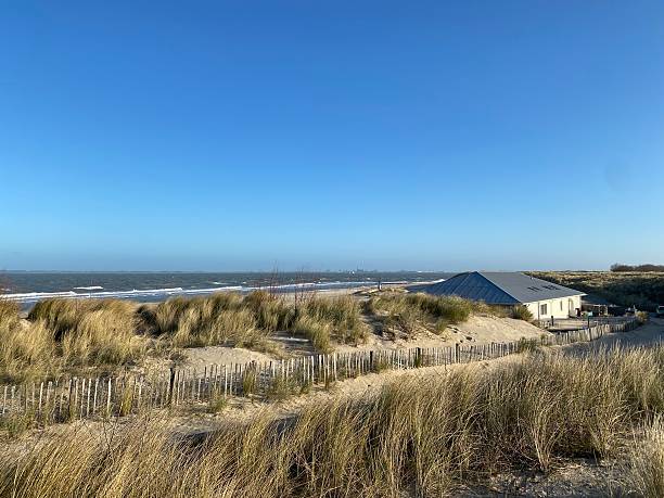istock Holiday in Holland on the beach 2223933576