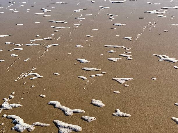 Holiday in Holland on the beach