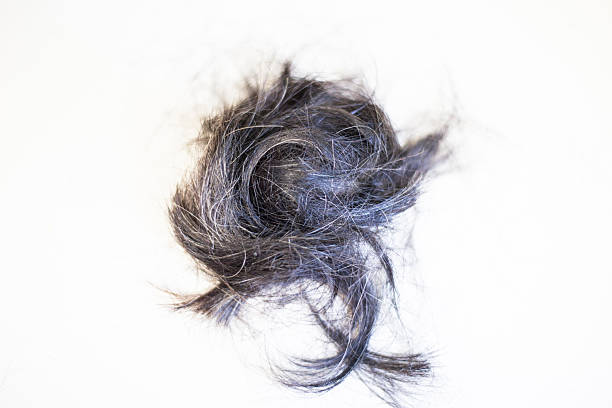 istock Gray and black hair is piled up on a black back. 2223936093