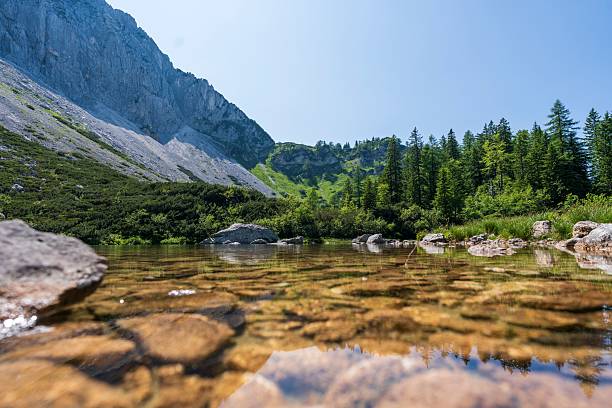 istock Feichtausee lake in Kalkalpen National Park 2223938028