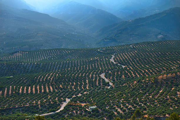 istock Expansive Mountain Valley with Neatly Arranged Fields and Winding Road 2223944676