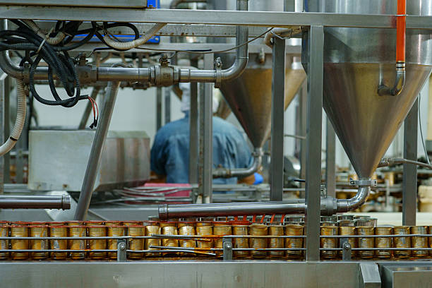 Canned fish process on the conveyer belt in transporting toward to sealing process.