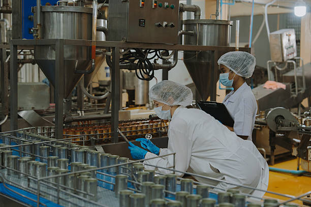 istock Quality control officer is randomly inspecting a raw materials in canned fish production facility. 2223949409