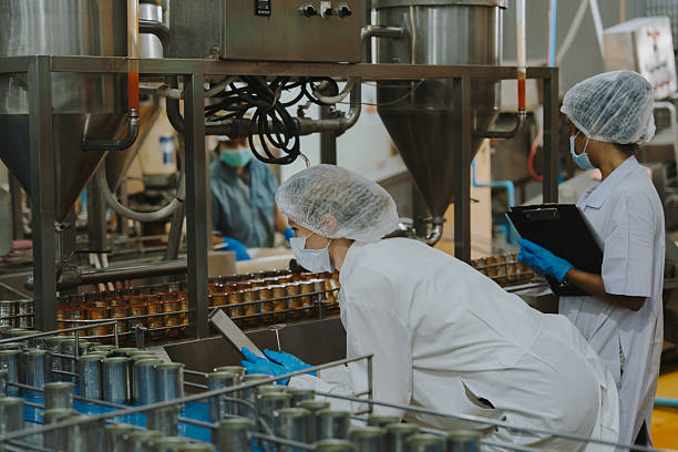 istock Quality control officer is randomly inspecting a raw materials in canned fish production facility. 2223949427