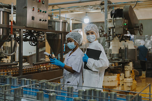istock Quality control officer is randomly inspecting a raw materials in canned fish production facility. 2223949436