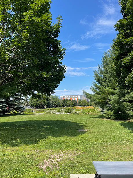 Park in Montreal, Quebec, Canada