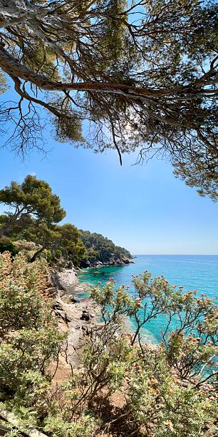 istock Domaine Rayol Canadel, Cote d'Azur 009 2223953250