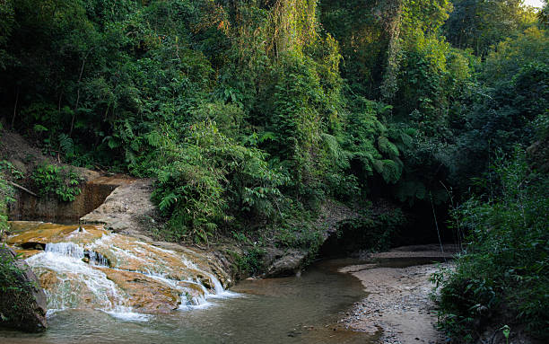 istock Small Jungle Waterfall Cascading over rocks into a Stream in dense Lush green tropical Rainforest 2223953476