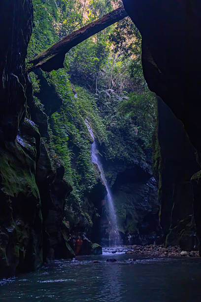 istock Mysterious Jungle Waterfall Flowing Through Narrow Canyon with Lush Greenery . Tropical Nature Landscape near wari chora meghalaya. 2223954077