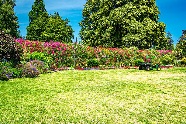 istock Tacoma Park Flower Row 2223956307