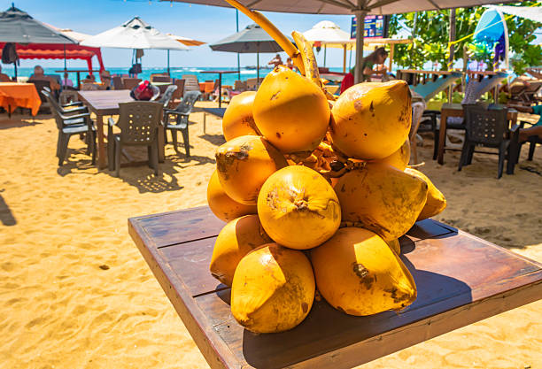 istock Close up of a coconuts branch on a table, Unawatuna beach Sri Lanka 2223956579