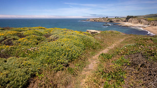 istock Santa Cruz Coast 2223956802
