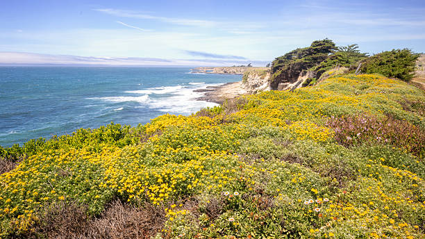istock Santa Cruz Coast 2223956923