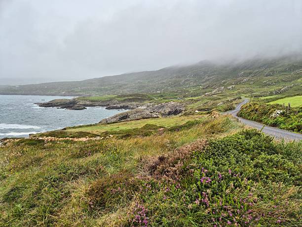 istock Grey clouds over Wild Atlantic Way in Ireland 2223956950