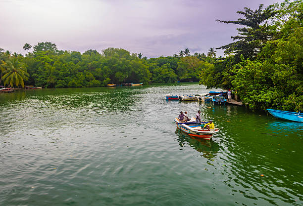 Safari boat on Madu Ganga river, Sri Lanka stock photo