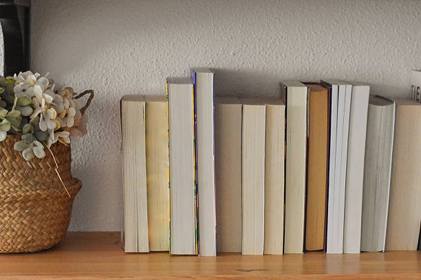 istock Collection of books 2223957545