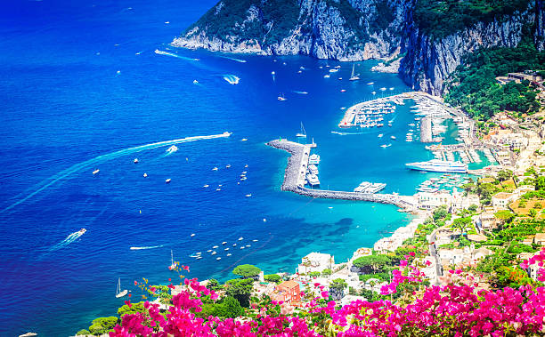 view of beautiful Marina Grande habour from above with flowers, Capri island, Italy