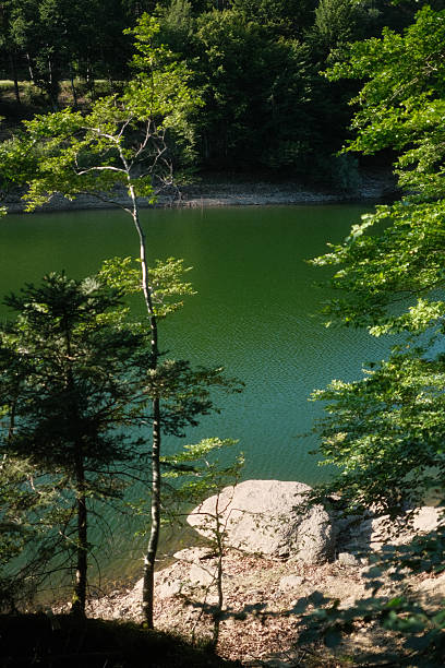 istock A beautiful lake surrounded by trees and rocks in a serene forest 2223959690