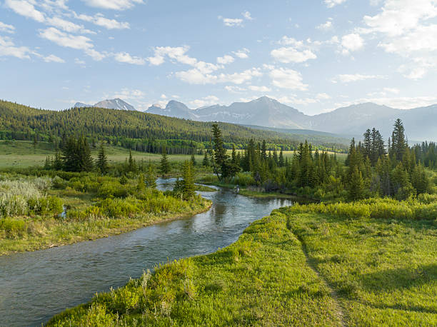istock Aerial view of forked trail in mountain meadow, river distant 2223959856