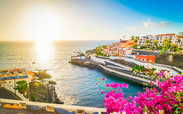 istock Puerto del Santiago 2223962285