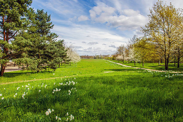 istock Idyllic nature in Brandenburg in May (April) (or Lower Saxony) 2223965255