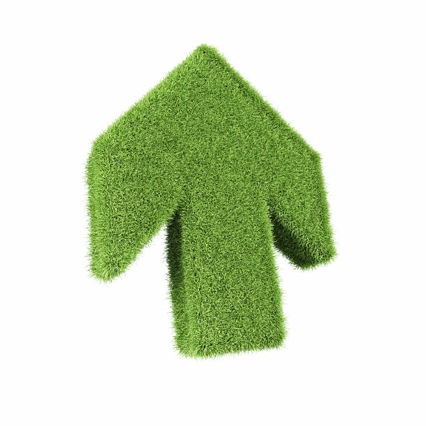 istock Arrow Up Icon Made of Green Grass on Isolated White Background - Object Clipping Path 2223974552