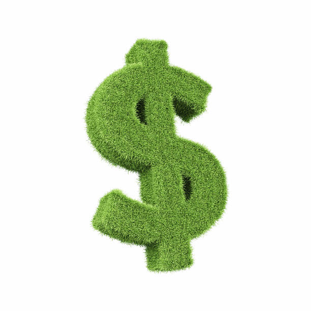 istock Dollar Sign Made of Green Grass on Isolated White Background - Object Clipping Path 2223975215