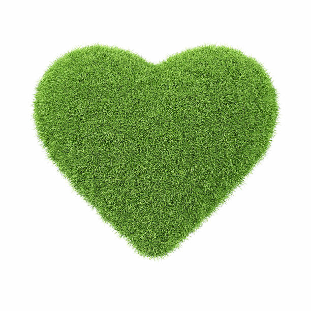istock Heart Icon Made of Green Grass on Isolated White Background - Object Clipping Path 2223975375