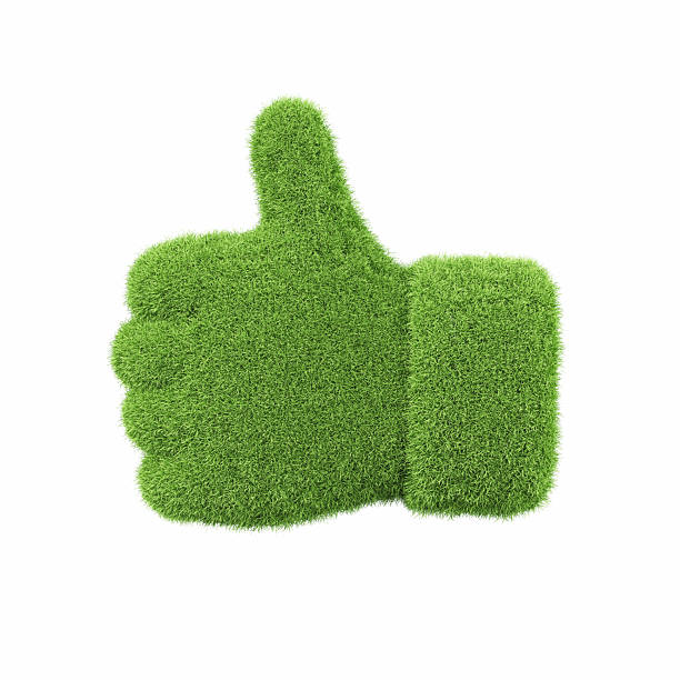 istock Ok Sign Made of Green Grass on Isolated White Background - Object Clipping Path 2223975438